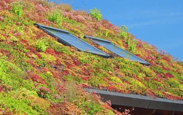 Tyle Garw living roof systems